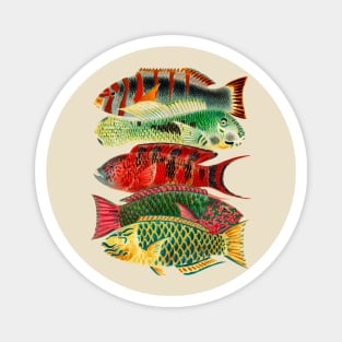 Tropical Fish Magnet